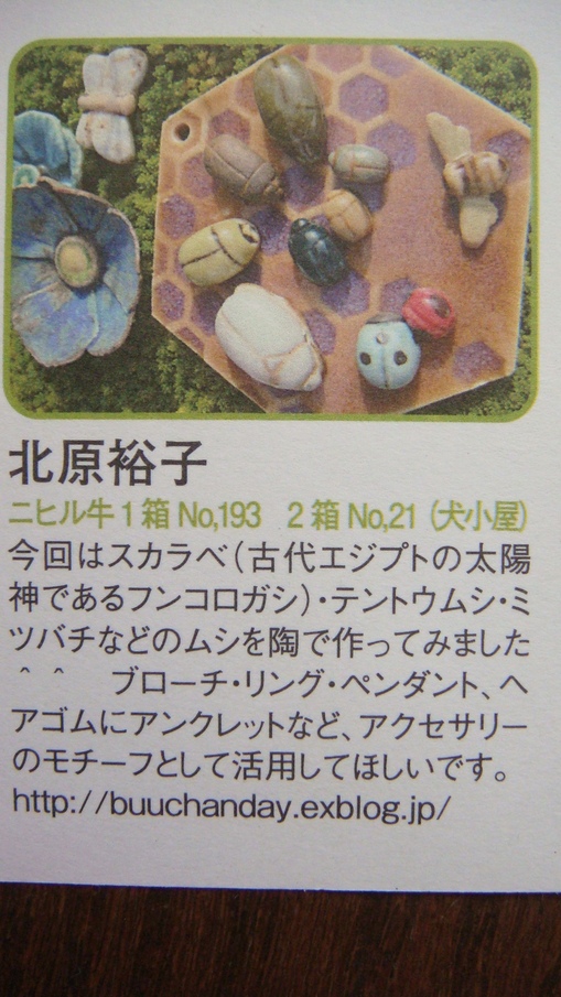 第3回むし展のフライヤーできました_a0137727_1717352.jpg
