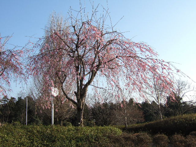 e0064133_11594692.jpg