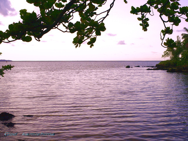 f0079943_1655064.jpg