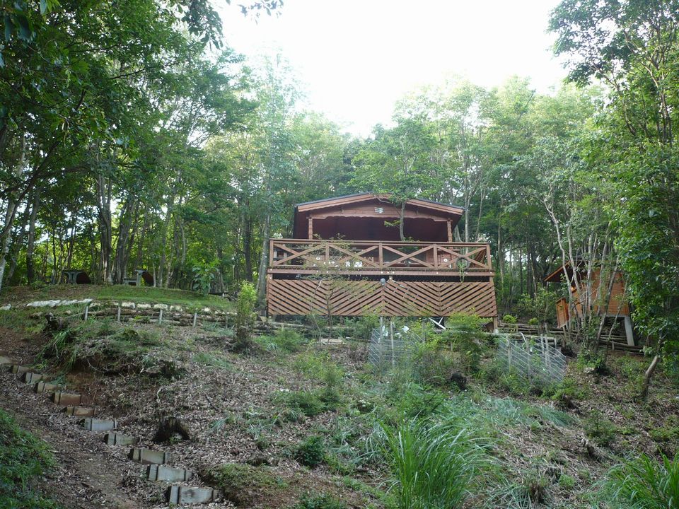 f0090444_21451059.jpg