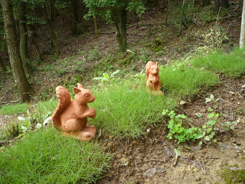 f0090444_21533142.jpg