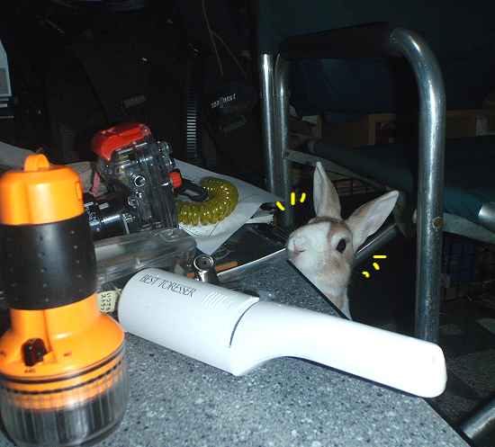 強烈な睡魔は人生の転機 びーち はうす