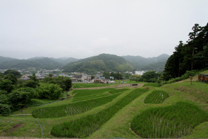 三浦海岸　夏の合宿　2010　その1_b0168647_22352074.jpg