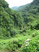 e0183949_21431754.jpg
