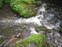 e0183949_2145834.jpg