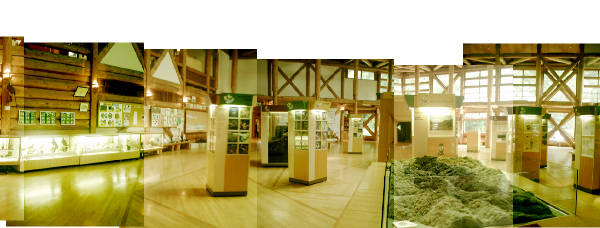 e0033751_2333358.jpg