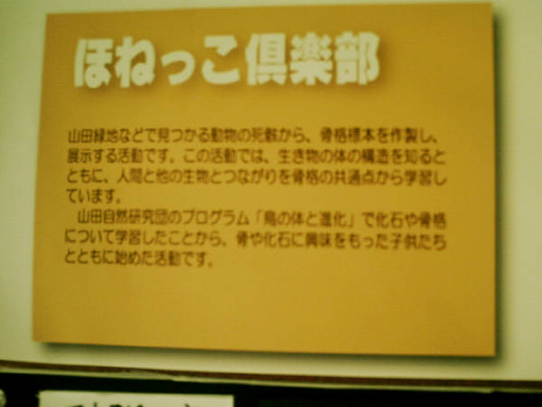 e0033751_23354522.jpg