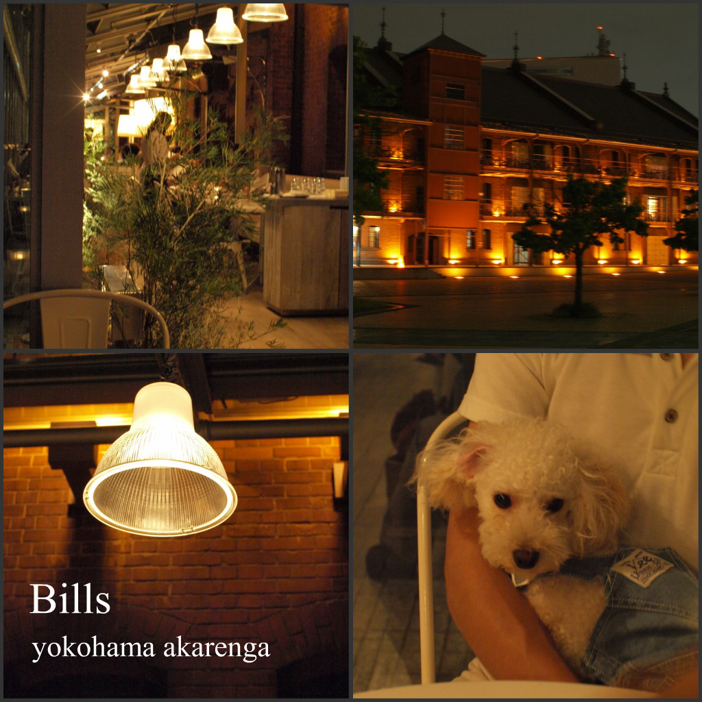 修廣樹とBills_e0158653_21481448.jpg
