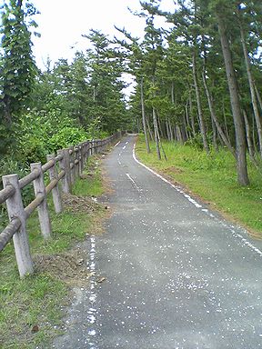 a0096557_19532083.jpg