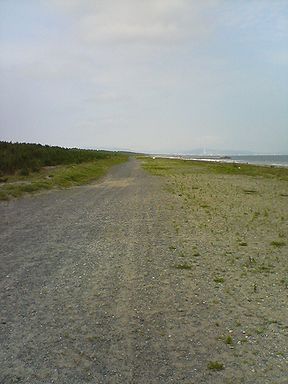 a0096557_19551689.jpg