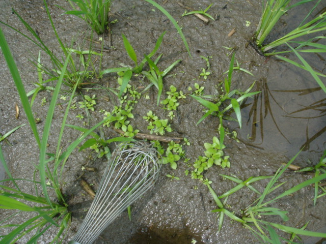 c0074157_20102016.jpg