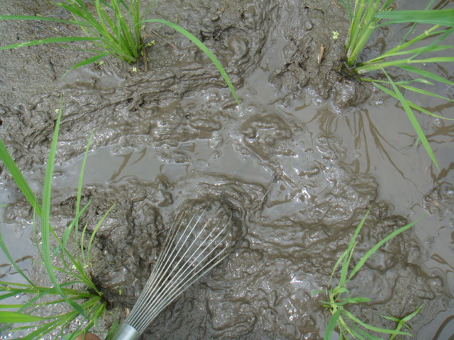 c0074157_20115890.jpg