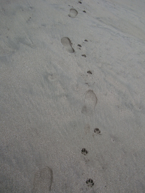 d0143957_20354237.jpg