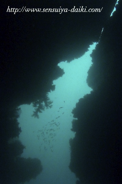 2010.07.03 Sat. みなべ・田辺_e0158261_9341498.jpg
