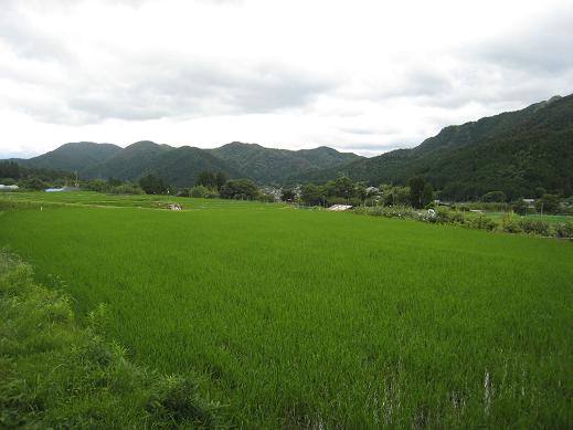 f0205367_22534581.jpg