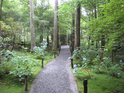 f0205367_2321611.jpg