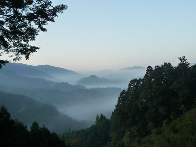 霧けぶる熊野_c0006568_20491823.jpg