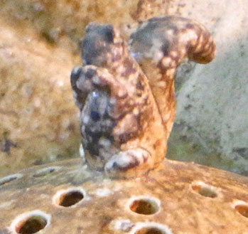 f0014970_15465997.jpg