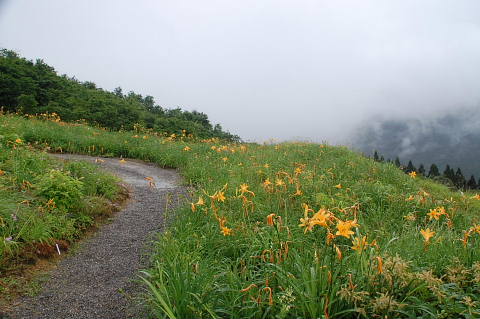 c0022275_1629345.jpg