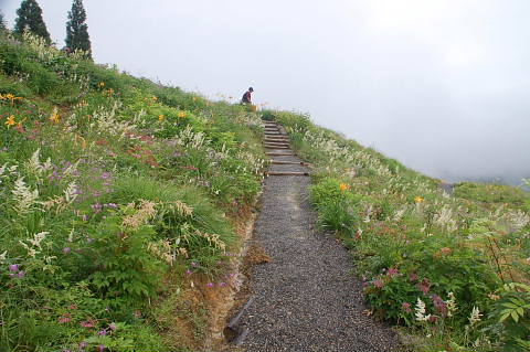 c0022275_16302665.jpg