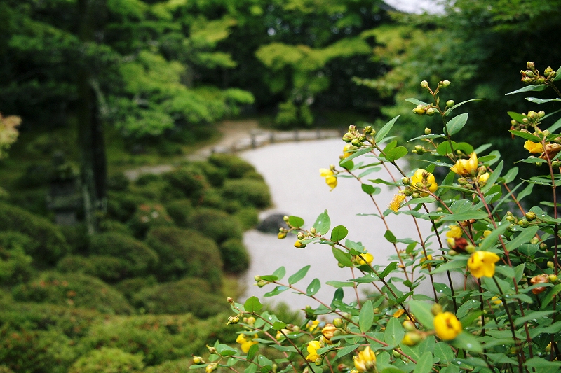 京都　金福寺_c0196076_22203616.jpg