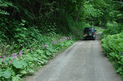 c0212083_012932.jpg
