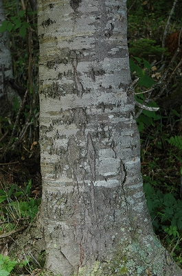 c0212083_032353.jpg