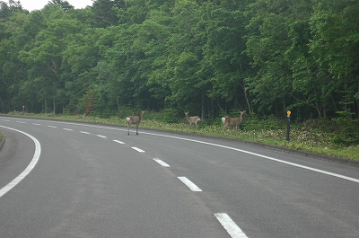 c0212083_0422352.jpg