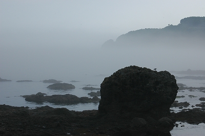 c0212083_042375.jpg