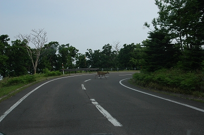 c0212083_0424149.jpg