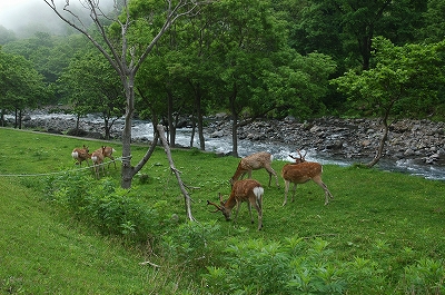 c0212083_0435742.jpg