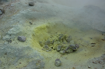 c0212083_044379.jpg