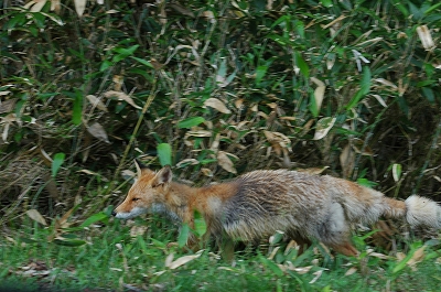 c0212083_0444150.jpg