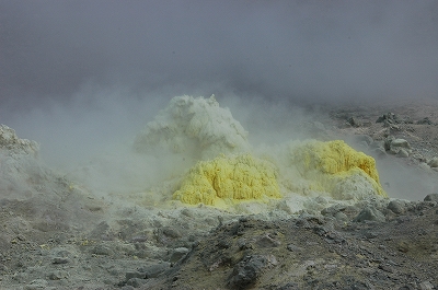 c0212083_045774.jpg