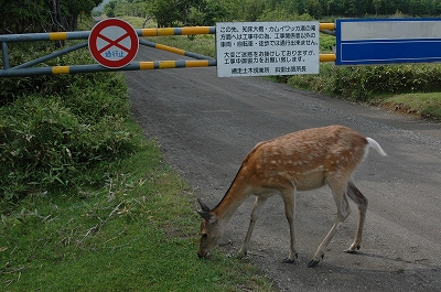 c0212083_0465492.jpg