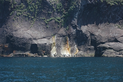 c0212083_0543336.jpg