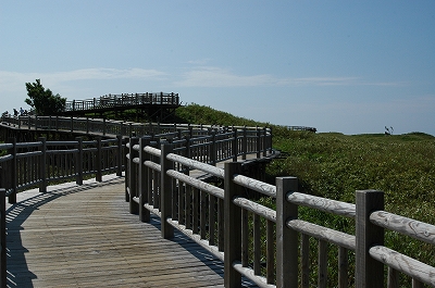 c0212083_0555013.jpg