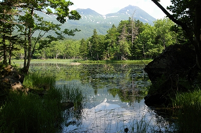 c0212083_0581398.jpg