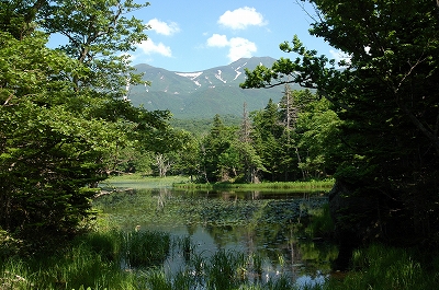 c0212083_0584348.jpg
