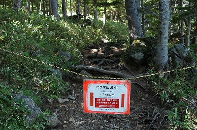 c0212083_059135.jpg