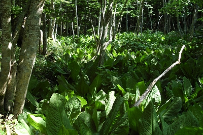 c0212083_0593924.jpg