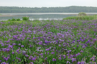 c0212083_08715.jpg