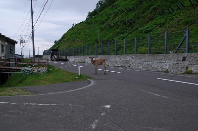 c0212083_22255441.jpg