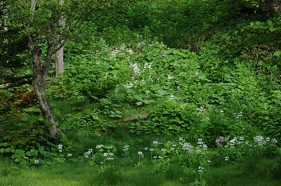c0212083_22424332.jpg
