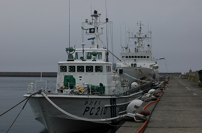 c0212083_2243335.jpg
