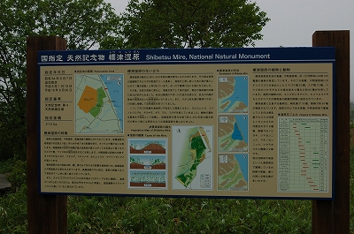 c0212083_22435999.jpg