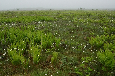 c0212083_2244461.jpg