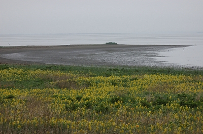 c0212083_22454516.jpg