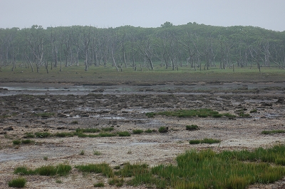 c0212083_2246543.jpg
