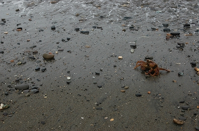 c0212083_2248135.jpg